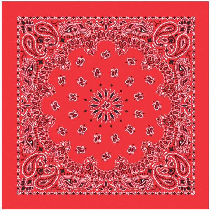 Load image into Gallery viewer, New Hav-A-Hank Bandana - Assorted Colors
