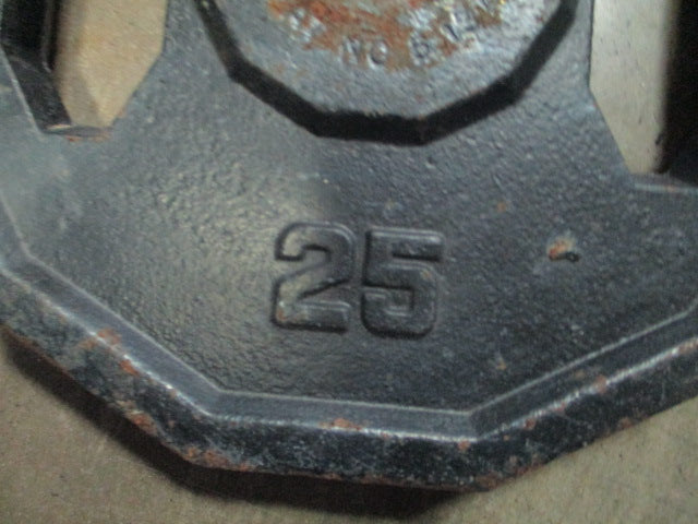 Load image into Gallery viewer, Used Marchy Grip 25LB Standard Weight Plate
