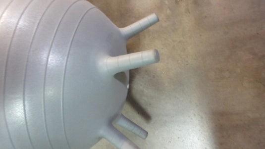 Gaiam FITNESS BALL With feet