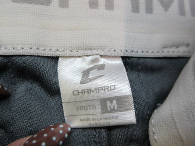 Load image into Gallery viewer, Used Champro Elastic Bottom Baseball Pants - Size Youth Medium
