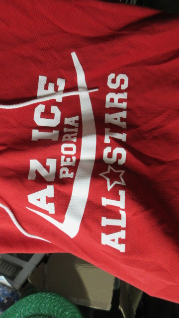 Used AZ Ice All Stars Heiden 10 Hockey Jersey Adult Size Medium - stain