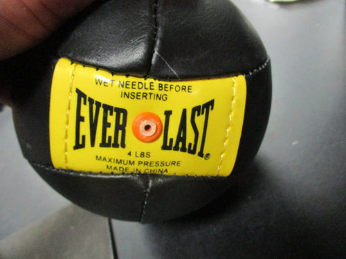 Used Everlast 4 LB Speed Bag