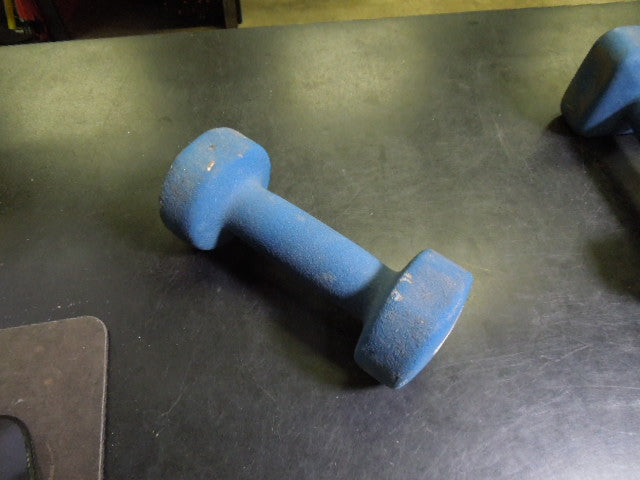 Load image into Gallery viewer, Used TSA 5 lb Neoprene Dumbbell
