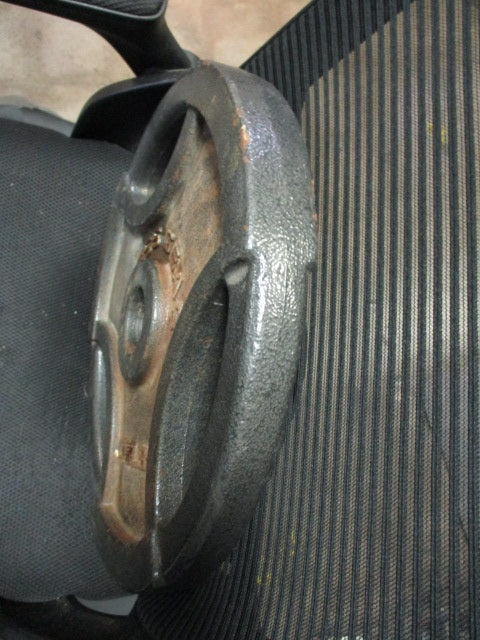 Load image into Gallery viewer, Used Fitness Gear Cast Iron 45LB Weight Plate
