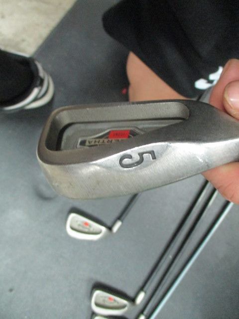 Load image into Gallery viewer, Used Callaway Big Bertha Iron Set 2-6 - LH
