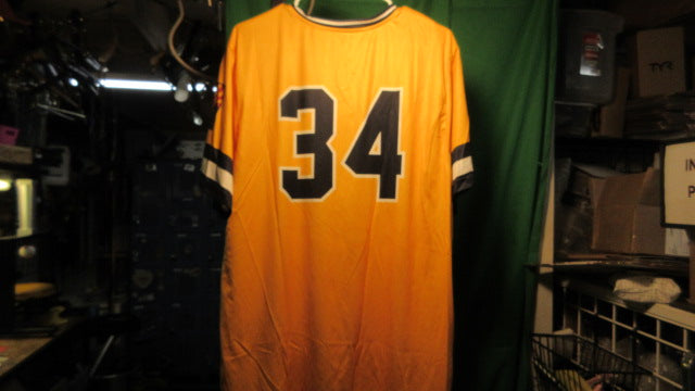 Load image into Gallery viewer, Used Champro Swarm Baseball Jersey - Size Adult XL

