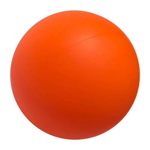 NEW CHAMPION  PLASTIC HOCKEY BALL