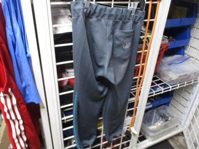 Load image into Gallery viewer, Used The Glove Athletitude Softball Pants Graphite w/ Blue Piping Small
