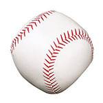 New Champion Soft Sport Softball