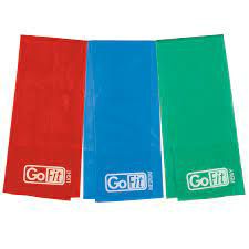 New GoFit Power Flat Bands 3 Levels 4' With Training Manual