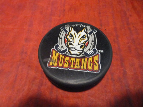 Used Vintage Phoenix Mustangs Player's Bench Hockey Puck
