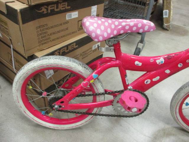 Load image into Gallery viewer, Used Dynacraft 16&quot; Girls Bike (Needs New Tires)
