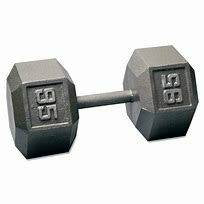 Apollo 95lb Hex Dumbbell