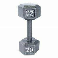 New Apollo Athletic 20 LB Hex Dumbbell