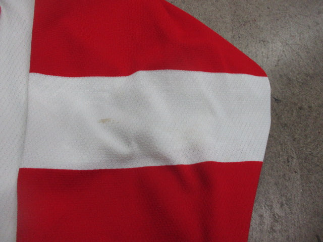 Load image into Gallery viewer, Used Vintage Detroit Redwings Hockey Jersey Size XL
