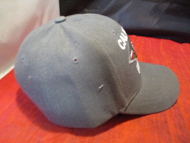 Load image into Gallery viewer, Used California Republic Hat
