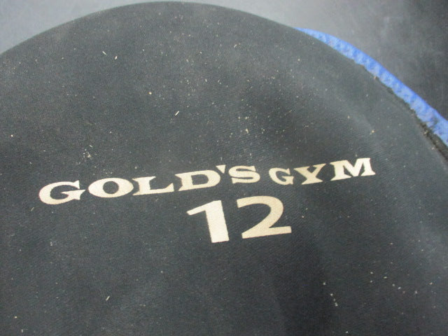 Load image into Gallery viewer, Used Golds Gym 12 LB Weighted Sand Bag Disc
