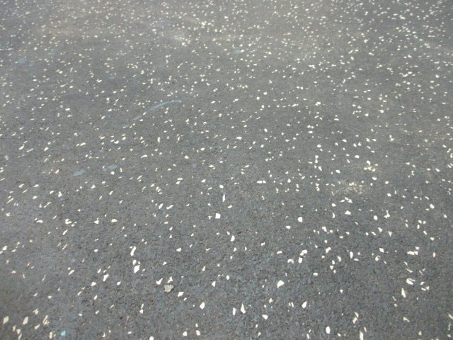Load image into Gallery viewer, Used 6.5 Foot x 2.5 Foot x 8mm Rubber Flooring (HAS SMALL RIP)
