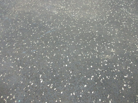 Used 6.5 Foot x 2.5 Foot x 8mm Rubber Flooring (HAS SMALL RIP)