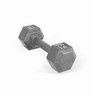 NEW Apollo Athletics 12LB Hex Dumbbell