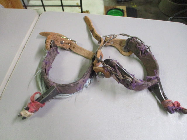 Load image into Gallery viewer, Used Bull Spurs With Straps
