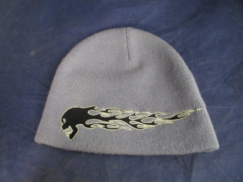 Used Grey Skull Beanie Hat