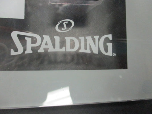 Used Spalding Mini Door Hoop