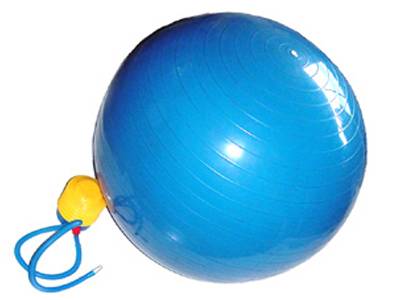 NEW Apollo Athletics 65 CM Exercise Ball