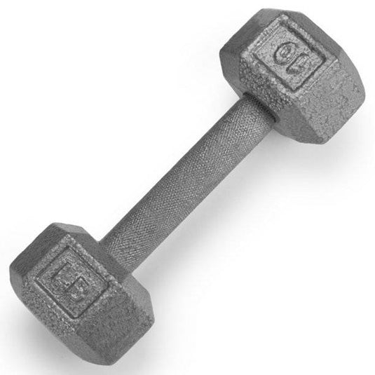 New Apollo Athletics 10 LB Hex Dumbbell