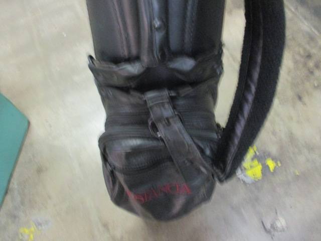 Load image into Gallery viewer, Used Belding Sports Estancia Leather Black Golf Bag
